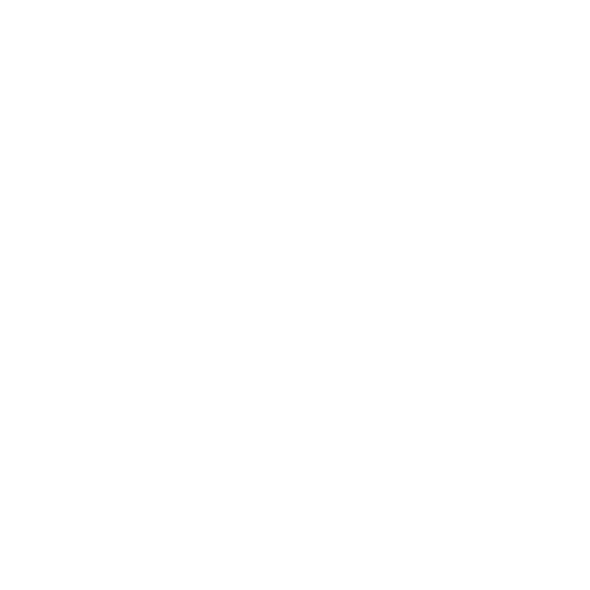 Exness Logo White Clear 1